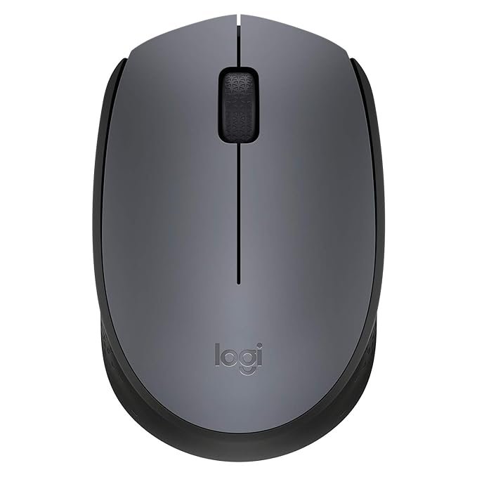 m171 Logitech wireless mouse